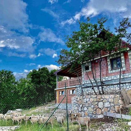 Mountain Village House Cetinje Extérieur photo
