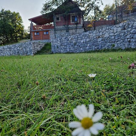 Mountain Village House Cetinje Extérieur photo