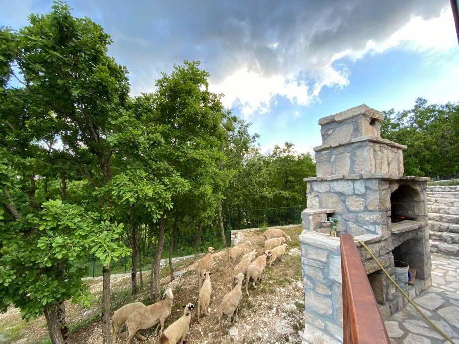 Mountain Village House Cetinje Extérieur photo