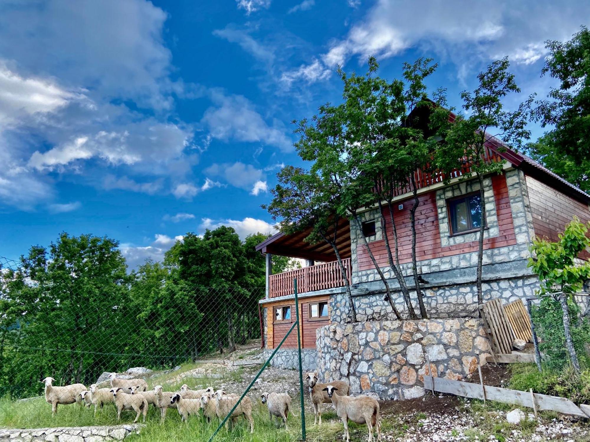 Mountain Village House Cetinje Extérieur photo