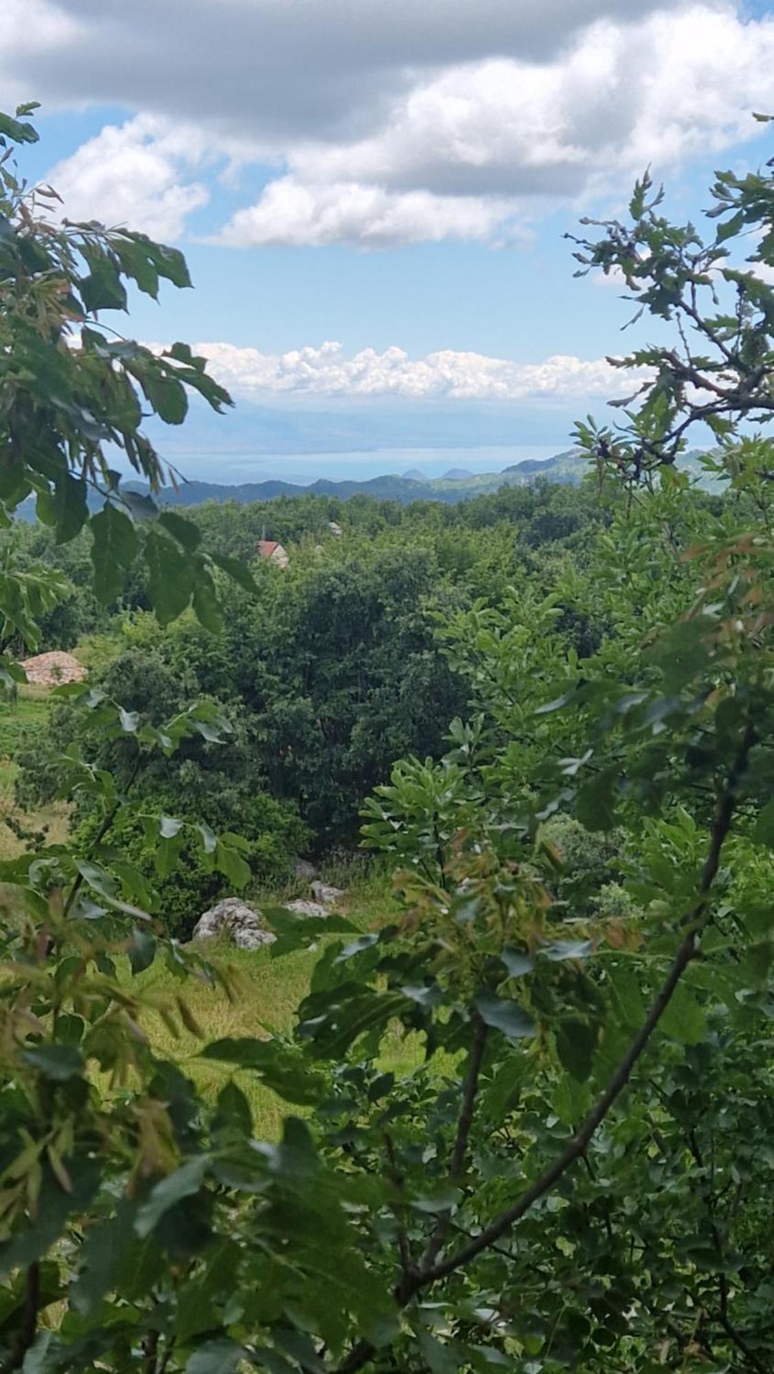 Mountain Village House Cetinje Extérieur photo