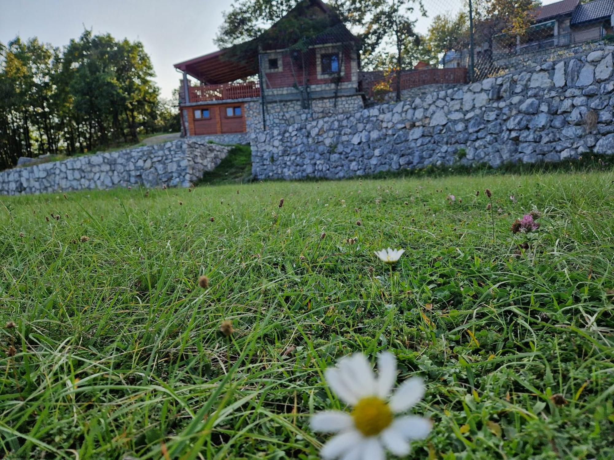 Mountain Village House Cetinje Extérieur photo